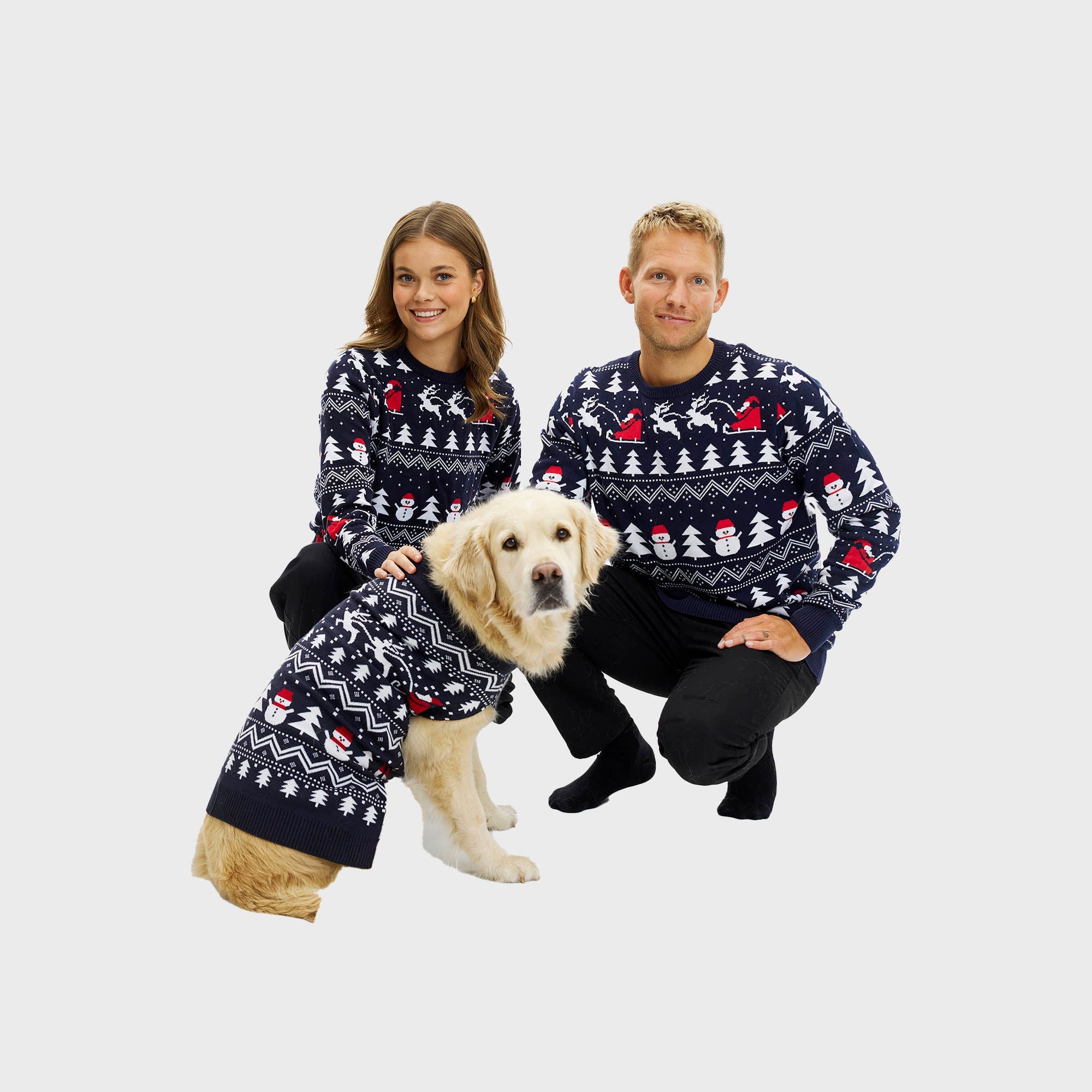 Den stilfulle julegenser til hund